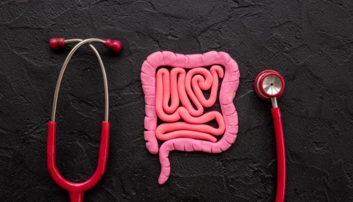 Gut Types Explained: How to Know Your Gut Type?