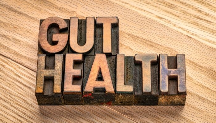 Gut Types Explained: How to Know Your Gut Type?